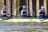 The Boat Race season 2014 - fixture OUWBC vs Molesey BC.




on 01 March 2014 at 13:18, image #222