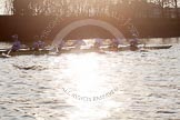The Boat Race season 2014 - fixture OUBC vs German U23: The German U23-boat near St Paul's School, shot against the low evening sun..
River Thames between Putney Bridge and Chiswick Bridge,



on 08 March 2014 at 16:53, image #120