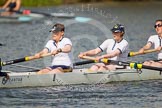 The Women's Boat Race and Henley Boat Races 2014: The Intercollegiate women's race. The Trinity College (Cambridge) boat, stroke Kate Bruce-Lockhart, 7 Julia Attwood, 6 Daisy Gomersall..
River Thames,
Henley-on-Thames,
Buckinghamshire,
United Kingdom,
on 30 March 2014 at 13:27, image #31