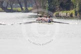 The Women's Boat Race and Henley Boat Races 2014: The Intercollegiate men's race. Oriel College (Oxford) and Downing College (Cambridge, on the left) getting close..
River Thames,
Henley-on-Thames,
Buckinghamshire,
United Kingdom,
on 30 March 2014 at 13:51, image #79