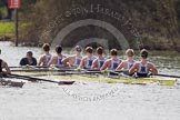 The Women's Boat Race and Henley Boat Races 2014: The Intercollegiate men's race. Oriel College (Oxford) and Downing College (Cambridge, on the left) are still close together..
River Thames,
Henley-on-Thames,
Buckinghamshire,
United Kingdom,
on 30 March 2014 at 13:51, image #83