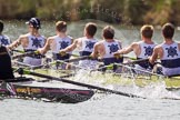 The Women's Boat Race and Henley Boat Races 2014: The Intercollegiate men's race. Oriel College (Oxford) and Downing College (Cambridge, on the left) are still close together..
River Thames,
Henley-on-Thames,
Buckinghamshire,
United Kingdom,
on 30 March 2014 at 13:51, image #88