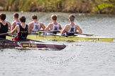 The Women's Boat Race and Henley Boat Races 2014: The Intercollegiate men's race. Oriel College (Oxford) and Downing College (Cambridge, on the left) are still close together..
River Thames,
Henley-on-Thames,
Buckinghamshire,
United Kingdom,
on 30 March 2014 at 13:51, image #90