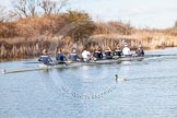 The Boat Race season 2015: OUWBC training Wallingford.

Wallingford,

United Kingdom,
on 04 March 2015 at 15:47, image #82