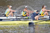 The Boat Race season 2015 - Newton Women's Boat Race.
River Thames between Putney and Mortlake,
London,

United Kingdom,
on 10 April 2015 at 16:02, image #111