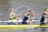 The Boat Race season 2015 - Newton Women's Boat Race.
River Thames between Putney and Mortlake,
London,

United Kingdom,
on 10 April 2015 at 16:02, image #112