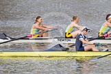 The Boat Race season 2015 - Newton Women's Boat Race.
River Thames between Putney and Mortlake,
London,

United Kingdom,
on 10 April 2015 at 16:02, image #116