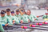 The Boat Race season 2016 - Women's Boat Race Trial Eights (CUWBC, Cambridge): "Tideway" chasing "Twickenham", here stroke-Daphne Martschenko, 7-Thea Zabell, 6-Alexandra Wood, 5-Lucy Pike, 4-Alice Jackson, 3-Rachel Elwood, 2-Evelyn Boettcher, bow-Kate Baker.
River Thames between Putney Bridge and Mortlake,
London SW15,

United Kingdom,
on 10 December 2015 at 11:15, image #104