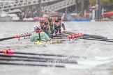 The Boat Race season 2016 - Women's Boat Race Trial Eights (CUWBC, Cambridge): "Twickenham" chased by "Tideway" at the Surrey Bend.
River Thames between Putney Bridge and Mortlake,
London SW15,

United Kingdom,
on 10 December 2015 at 11:15, image #105