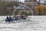 The Boat Race season 2016 - Women's Boat Race Trial Eights (OUWBC, Oxford): "Scylla" and "Charybdis" behind Barnes Railway Bridge, with "Charybdis" in the lead.
River Thames between Putney Bridge and Mortlake,
London SW15,

United Kingdom,
on 10 December 2015 at 12:35, image #303