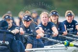 The Boat Race season 2016 - Women's Boat Race Trial Eights (OUWBC, Oxford): "Scylla", here cox-Antonia Stutter, stroke-Emma Lukasiewicz, 7-Lauren Kedar, 6-Joanne Jansen, 5-Anastasia Chitty, 4-Rebecca Te Water Naude, 3-Elettra Ardissino, 2-Merel Lefferts, bow-Issy Dodds.
River Thames between Putney Bridge and Mortlake,
London SW15,

United Kingdom,
on 10 December 2015 at 12:36, image #311