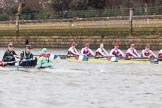 The Boat Race season 2016 - Women's Boat Race Fixture CUWBC vs OBUBC.
River Thames between Putney Bridge and Mortlake,
London SW15,

United Kingdom,
on 31 January 2016 at 16:00, image #56