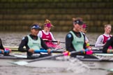 The Boat Race season 2016 - Women's Boat Race Fixture CUWBC vs OBUBC.
River Thames between Putney Bridge and Mortlake,
London SW15,

United Kingdom,
on 31 January 2016 at 16:01, image #69