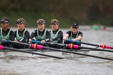 The Boat Race season 2016 - Women's Boat Race Fixture CUWBC vs OBUBC.
River Thames between Putney Bridge and Mortlake,
London SW15,

United Kingdom,
on 31 January 2016 at 16:18, image #111