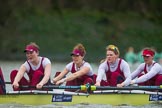 The Boat Race season 2016 - Women's Boat Race Fixture CUWBC vs OBUBC.
River Thames between Putney Bridge and Mortlake,
London SW15,

United Kingdom,
on 31 January 2016 at 16:19, image #116