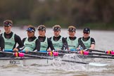 The Boat Race season 2016 - Women's Boat Race Fixture CUWBC vs OBUBC.
River Thames between Putney Bridge and Mortlake,
London SW15,

United Kingdom,
on 31 January 2016 at 16:19, image #117