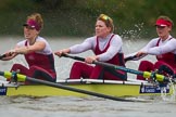 The Boat Race season 2016 - Women's Boat Race Fixture CUWBC vs OBUBC.
River Thames between Putney Bridge and Mortlake,
London SW15,

United Kingdom,
on 31 January 2016 at 16:21, image #130