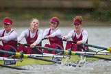 The Boat Race season 2016 - Women's Boat Race Fixture CUWBC vs OBUBC.
River Thames between Putney Bridge and Mortlake,
London SW15,

United Kingdom,
on 31 January 2016 at 16:22, image #133