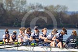 The Boat Race season 2016 -  The Cancer Research Women's Boat Race.
River Thames between Putney Bridge and Mortlake,
London SW15,

United Kingdom,
on 27 March 2016 at 14:04, image #141