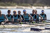 The Women's Boat Race season 2018 - fixture CUWBC vs. ULBC: Race umpire Judith Packer was kept busy during the first phase of the second race - OUWBC and ULBC are getting a bit close.
River Thames between Putney Bridge and Mortlake,
London SW15,

United Kingdom,
on 17 February 2018 at 13:28, image #118