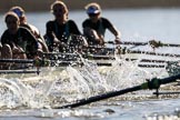 The Women's Boat Race season 2018 - fixture CUWBC vs. ULBC: OUWBC and ULBC during the early phase of the second race.
River Thames between Putney Bridge and Mortlake,
London SW15,

United Kingdom,
on 17 February 2018 at 13:30, image #129