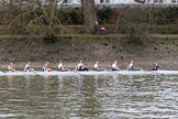 The Women's Boat Race season 2018 - fixture OUWBC vs. Molesey BC: Molesey's second boat, on the way back to Putney after racing Osiris, the 2nd OUWBC boat: bow Sophie Heywood, 2 Pippa Birch, 3 Xanthe Weatherhead, 4 Amber Hickson, 5 Charlotte Gill, 6 Marie Grant, 7 Iona Riley, stroke Kristi Stone, cox Charlotte Fuscone. There are quite a few more photos of the crew, please let me know if intersted..
River Thames between Putney Bridge and Mortlake,
London SW15,

United Kingdom,
on 04 March 2018 at 13:53, image #88