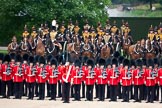 Trooping the Colour 2009: The King's Troop, Royal Horse Artillery, behind No. 1 Guard, the Escort for the Colour. In the centre the Ensign, 2nd Lieutenant Andrew Campbell, with the white colour belt..
Horse Guards Parade, Westminster,
London SW1,

United Kingdom,
on 13 June 2009 at 10:41, image #77