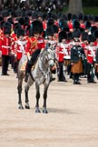 Trooping the Colour 2009: The Field Officer in Brigade Waiting, Lieutenant Colonel B C Farrell, on 'Wellesley', during the Collection of the Colour..
Horse Guards Parade, Westminster,
London SW1,

United Kingdom,
on 13 June 2009 at 11:19, image #183