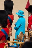 Trooping the Colour 2009: HM The Queen watches the Collection of the Colour standing, and HRH Prince Philip, the Duke of Edinburg, saluting..
Horse Guards Parade, Westminster,
London SW1,

United Kingdom,
on 13 June 2009 at 11:21, image #190