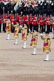 Trooping the Colour 2009: The five Drum Majors on parade, leading the Massed Bands..
Horse Guards Parade, Westminster,
London SW1,

United Kingdom,
on 13 June 2009 at 11:24, image #195