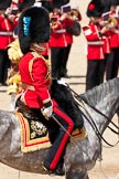 Trooping the Colour 2009: The Field Officer, Lieutenant Colonel Ben Farrell, Irish Guards, riding 'Wellesley'..
Horse Guards Parade, Westminster,
London SW1,

United Kingdom,
on 13 June 2009 at 11:37, image #211