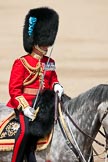 Trooping the Colour 2009: The Field Officer, Lieutenant Colonel Ben Farrell, Irish Guards, riding 'Wellesley'..
Horse Guards Parade, Westminster,
London SW1,

United Kingdom,
on 13 June 2009 at 11:41, image #214