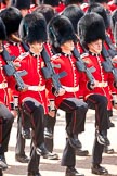 Trooping the Colour 2009: The March Past - Irish Guards about to march past Her Majesty..
Horse Guards Parade, Westminster,
London SW1,

United Kingdom,
on 13 June 2009 at 11:46, image #220