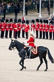 Trooping the Colour 2009: The Ride Past of the Mounted Bands of the Household Cavalry, here the Director of Music, Captain K Davies, riding past No. 5 and No. 6 Guard..
Horse Guards Parade, Westminster,
London SW1,

United Kingdom,
on 13 June 2009 at 11:54, image #228