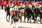 Trooping the Colour 2009: The Ride Past of the Mounted Bands of the Household Cavalry, one of the two kettle drummers in front..
Horse Guards Parade, Westminster,
London SW1,

United Kingdom,
on 13 June 2009 at 11:54, image #230