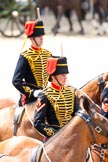 Trooping the Colour 2009: Close up - The King's Troop Royal Horse Artillery riding past Her Majesty..
Horse Guards Parade, Westminster,
London SW1,

United Kingdom,
on 13 June 2009 at 11:55, image #234