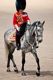 Trooping the Colour 2009: The Field Officer, Lieutenant Colonel Ben Farrell, on 'Wellesley', about to ask HM The Queen for permission to march off..
Horse Guards Parade, Westminster,
London SW1,

United Kingdom,
on 13 June 2009 at 12:09, image #251