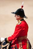 Trooping the Colour 2009: Close-up of the Equerry in Waiting to Her Majesty, Lieutenant Colonel A F Matheson of Matheson, yr..
Horse Guards Parade, Westminster,
London SW1,

United Kingdom,
on 13 June 2009 at 12:12, image #260