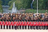 Trooping the Colour 2010: No. 1 Guard, the &quot;Escort for the Colour&quot;, 1st Battalion Grenadier Guards, standing in front of The King's Troop Royal Horse Artillery.

Behind them St. James's Park, with a lake and a fountain, and lots of spectators watching the parade.

The flag is one of 63 flags representing the Commonwealth Countries..
Horse Guards Parade, Westminster,
London SW1,
Greater London,
United Kingdom,
on 12 June 2010 at 10:52, image #43