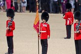 Trooping the Colour 2010: Colour Sergeant Stephen Ross, who was awarded the Military Cross in 2006, with the just uncased Colour.

In the background spectators at the inner line of sentries in front of the Old Admirality Building..
Horse Guards Parade, Westminster,
London SW1,
Greater London,
United Kingdom,
on 12 June 2010 at 10:38, image #23