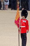 Trooping the Colour 2010: Colour Sergeant Stephen Ross, who was awarded the Military Cross in 2006, with the just uncased Colour.

In the background spectators at the inner line of sentries in front of the Old Admirality Building..
Horse Guards Parade, Westminster,
London SW1,
Greater London,
United Kingdom,
on 12 June 2010 at 10:38, image #24