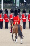 Trooping the Colour 2010: Lieutenant Colonel C R V Walker, Grenadier Guards, Field Officer in Brigade Waiting, and &quot;boss&quot; of the whole parade.

He is riding Burniston, a brown mare from the Household Division Stables.

In the background St. James's Park at the western end of the parade ground..
Horse Guards Parade, Westminster,
London SW1,
Greater London,
United Kingdom,
on 12 June 2010 at 10:42, image #27