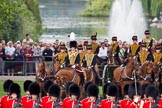 Trooping the Colour 2010: Behind No. 1 Guard,  1st Battalion Grenadier Guards, and in front of spectators watching from St. James's Park, with a lake and fountain in the background, is The King's Troop Royal Horse Artillery, with their horses and 13-pounder state saluting guns..
Horse Guards Parade, Westminster,
London SW1,
Greater London,
United Kingdom,
on 12 June 2010 at 10:42, image #28