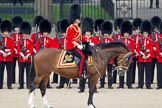 Trooping the Colour 2010: Lieutenant Colonel C R V Walker, Grenadier Guards, Field Officer in Brigade Waiting, and &quot;boss&quot; of the whole parade.

He is riding Burniston, a brown mare from the Household Division Stables.

In the background, behind the two rows of guardsmen from the Grenadier Guards, is St. James's Park, at the western end of the parade ground..
Horse Guards Parade, Westminster,
London SW1,
Greater London,
United Kingdom,
on 12 June 2010 at 10:46, image #30