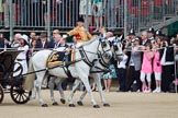 Trooping the Colour 2010: As the Royal Procession reaches Horse Guards Parade, the Ivory Mounted Phaeton, carrying The Queen and The Prince Philip, is passing the Colour. Jack Hargreaves, Head Coachman, salutes with his whip..
Horse Guards Parade, Westminster,
London SW1,
Greater London,
United Kingdom,
on 12 June 2010 at 10:58, image #54