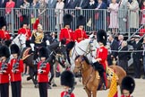 Trooping the Colour 2010: Members of the Royal Procession arriving at Horse Guards Parade. 

On horseback, in front, Lieutenant Colonel J S Olivier,
The Blues and Royals.

In the middle, Major G V A Baker, Grenadier Guards.

Behind him, Major J W S Lawrie, Scots Guards.

In the next row, and further left in the photo, Colonel T C S Bonas, Welsh Guards, and Lt Col J B O'Gorman, Irish Guards.

They are riding along the eastern side of the parade ground, next to the Old Admirality Building, spectators are watching from the Inner Line Of Sentries, and one of the stands above..
Horse Guards Parade, Westminster,
London SW1,
Greater London,
United Kingdom,
on 12 June 2010 at 10:59, image #60