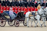 Trooping the Colour 2010: HJoergens41_100612_G6C6738.CR2.
Horse Guards Parade, Westminster,
London SW1,
Greater London,
United Kingdom,
on 12 June 2010 at 11:04, image #81