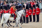 Trooping the Colour 2010: The Crown Equerries inspecting the line, here No. 6 Guard, No. 7 Company Coldstream Guards.

In Front Colonel A C Ford, in the middle Lt Col A F Matheson of Matheson, yr, both Equerries in Waiting to Her Majesty, and behind, in black uniform, Major S R Robinson, the Crown Equerry.

In the background spectators on the Inner Line of Sentries and on a stand above in front of the Old Admiralty Building on the eastern side of Horse Guards Parade..
Horse Guards Parade, Westminster,
London SW1,
Greater London,
United Kingdom,
on 12 June 2010 at 11:04, image #86