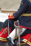 Trooping the Colour 2010: Colonel T W Browne, The Blues and Royals, Silver Stick in Waiting. The photo only frames saddle, Silver Stick, sword, and uniform, and a staggering amount of detail, when watched at full resolution!

Horse Guards Parade is beautifully reflected in the rear shield of his uniform (please correct me if &quot;rear shield&quot; is the wrong phrase!)..
Horse Guards Parade, Westminster,
London SW1,
Greater London,
United Kingdom,
on 12 June 2010 at 11:09, image #101