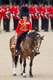 Trooping the Colour 2010: Lt Col C R V Walker, Grenadier Guards, Field Officer in Brigade Waiting and in command of the parade..
Horse Guards Parade, Westminster,
London SW1,
Greater London,
United Kingdom,
on 12 June 2010 at 11:25, image #126